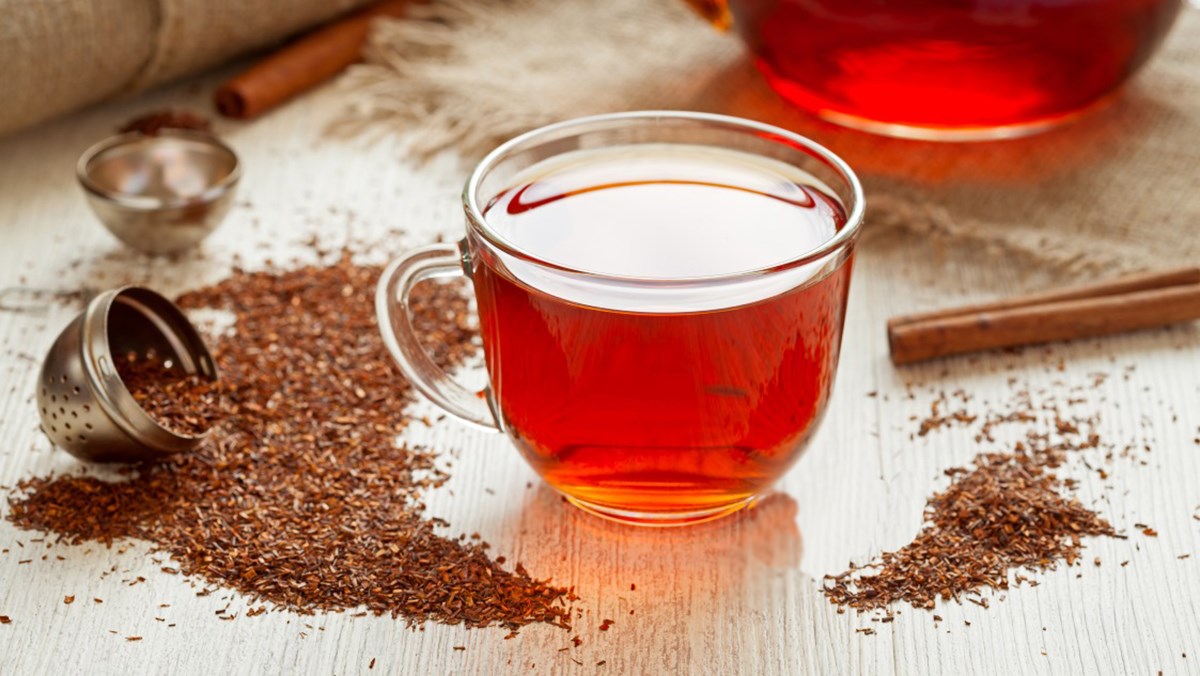 rooibos